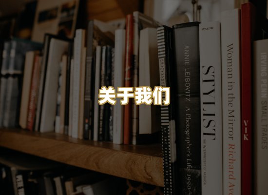 关于我们